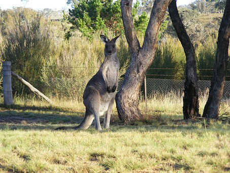 voyage australie