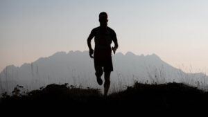 Trailleur