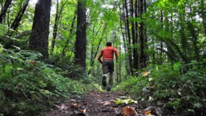 trail écologiques