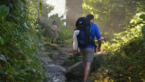 Trail en forêt