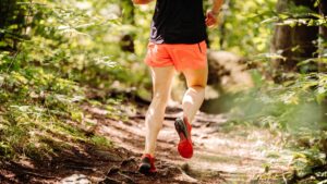 trail