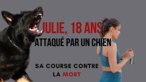 Attaqué par un chien pendant un footing les 5 gestes à adopter