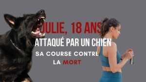 Attaqué par un chien pendant un footing les 5 gestes à adopter