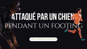 Attaqué par un chien pendant un footing les 5 gestes à adopter