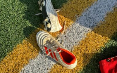 Quel type de gazon choisir pour un terrain multisport ?