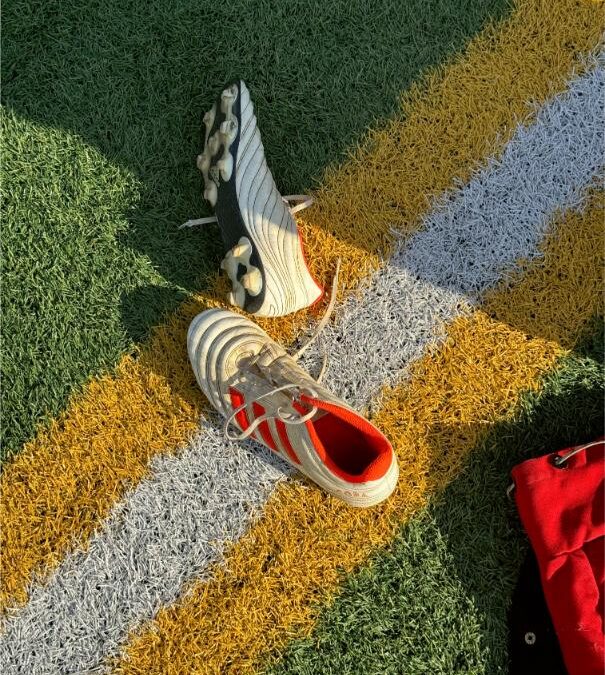 Quel type de gazon choisir pour un terrain multisport ?